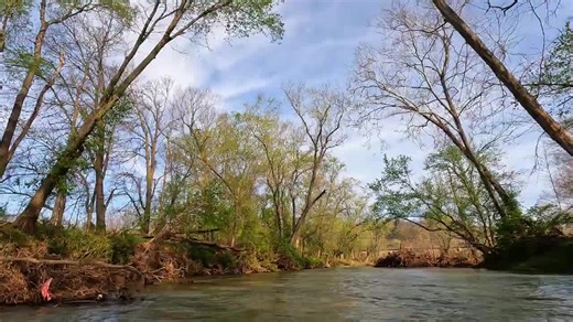 FrogbeastStudios (@frogbeaststudios)’s videos with original sound - FrogbeastStudios