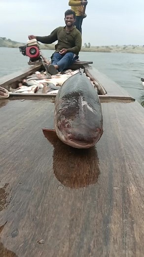 Machhali Jal Ki Shikar – Ek Aisa Video