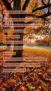 🍂Autumn bucket list🍂 🍁Go for long walks in the park or forest 🍁Take fun photos in the Autumn leaves 🍁Burn Autumn candles 🍁Carve pumpkins 🍁Bake cinnamon rolls 🍁Decorate your home 🍁Read a book 🍁Enjoy a hot chocolate or pumpkin spice latte 🍁Plan a scary movie night with friends 🍁Visit a pumpkin patch What would you add to the list? #autumnvibes #autumnleaves #autumnbucketlist #autumncolors #bucketlist | Rex London