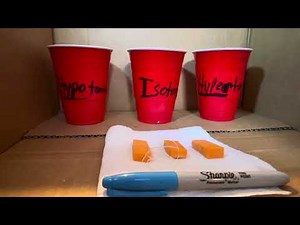 BIOL 120L Human Biology Lab: Diffusion and Osmosis