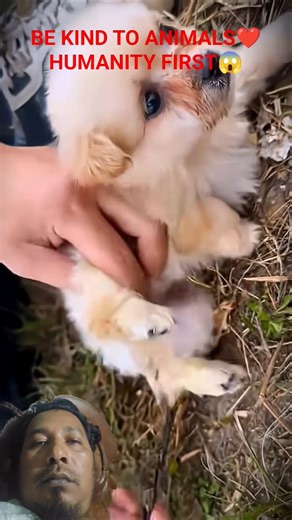 Every Small Life Deserves Love And Warmth😱#puppylovers #puppyrescue #puppylife #rescueapuppy #puppy