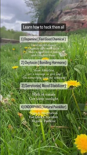 How to Hack All 4 Happiness Chemicals Naturally