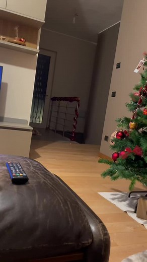 Ci ha messo un attimo ma poi mi ha riconosciuta #dog #duke #labrador #labradorsoftiktok #doggo #dukkettino #puppy #labradorpuppy