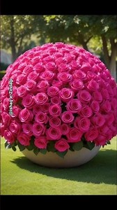 Beautiful Natural flowers🌼💚🌹🌺|aesthetic wallpaper flowers🌿 vedios#explore#nature#viral#shorts#garden