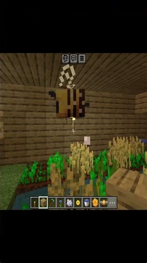 🥕🌼 Bee Boosted Beetroot Farm বানালাম! 🌼🥕