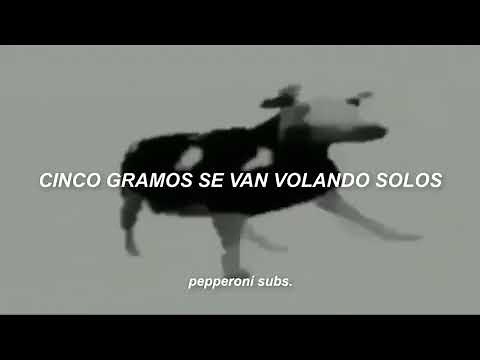 El gobierno gobierna con su pierna(canción completa)