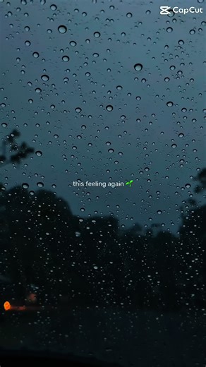 Enjoy the Soothing Sounds of Morning Rain