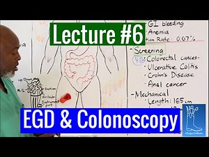 Lecture #6: EGD and Colonoscopy