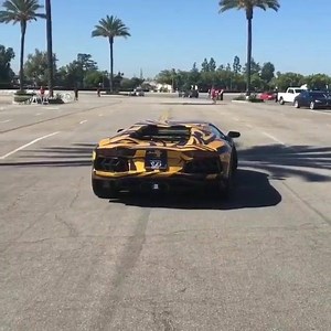 Aventador Launch | Club Billionaire