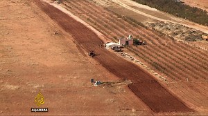 Lebanon's cannabis industry thriving