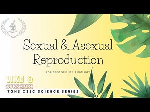 Asexual vs Sexual Reproduction