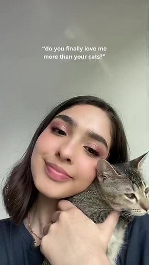 The Cuddle Connection: Humans and Cats