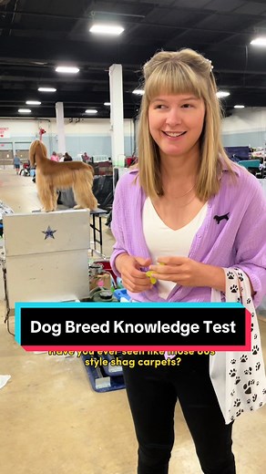 Dog Breed Quiz: Can You Pass? 🐶