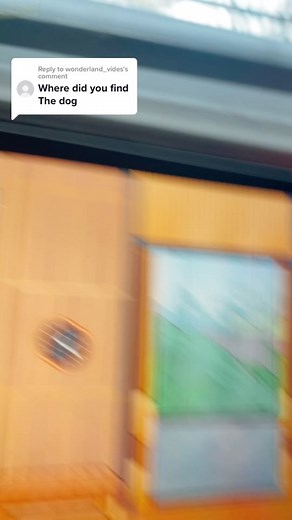 How to Find Dogs for Free in Toca Life