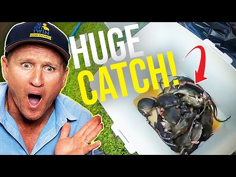 The BEST RAT TRAP for getting rid of rats QUICKLY!! - BEST Rodent Removal