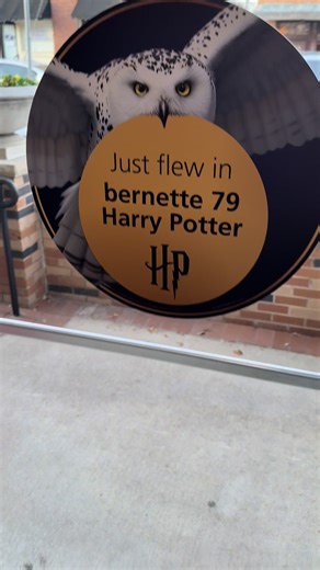 Something magical is here!! We’re in love with the new Harry Potter machine. Come check out all of the features that can bring a little magic to your fabric! #txqw #smallbusiness #rockwall #harrypotter #sewing