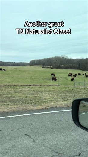 Last year I started my Tennessee naturalist class to learn more about the area that I live in and develop a deeper appreciation for the world around me. I have loved every single one of these classes and it is something I look forward to every single month. Today we went to the Woodland nature station up in Cadiz, Kentucky and got to see some of the animals up close. ##spring2026##throughthekrystallens##photography##natureallaroundus