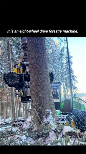Entrepreneur | Startup Mindset | Business | Eight wheels. One purpose. Total dominance over terrain most machines wouldn’t even dare to touch. This eight-wheel drive forestry machine... | Instagram
