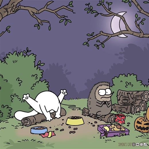 Let me tell you a story! 🔥🦔😺🍂 | Simon's Cat