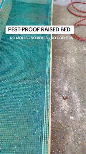 How to Build a PEST-PROOF Raised Bed (Stop Moles, Voles & Gophers!)