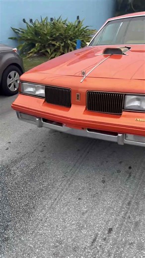 Candy tangerine Cutlass on gold 24’s