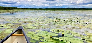 Gananoque Lake Nature Reserve