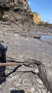 Fossil and crystal hunting on a remote beach! This loose slab of soft shale was hiding something deep within! 🤯 Check out the gorgeous cephalopod specimens that were hidden within 😍 Here’s an outstanding example of some Harpoceras Sp. ammonite fossils! 😍🦕 The intricate details are truly something to behold! 🔬🏝 Thanks for supporting our page! 🐊 #natural #nature #fossil #fossils #ancient #animals #art #ammonite #ammonites #dinosaur #scientist #minerals #paleontology #whitby #geologist #dors