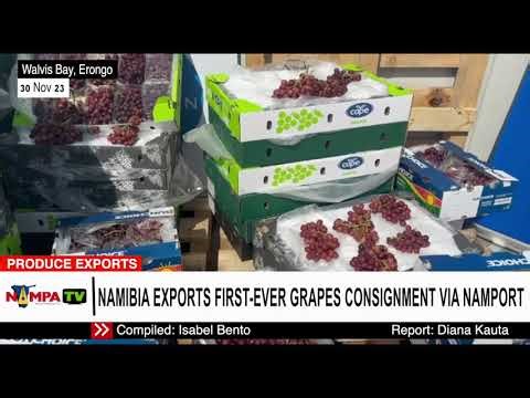 Namibia exports first ever grapes consignment via Namport