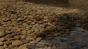 34 reactions · 11 shares | „Architecture is the will of an epoch translated into space“ As part of the 1929 International Exposition in Barcelona Spain, the Barcelona Pavilion, designed by Mies van der Rohe, was the display of architecture's modern movement to the world. © Fernando Ayuso | Bauhaus Movement | Facebook