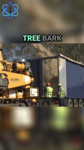 Sources of Cellulose for Energy #science