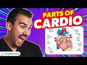 Unraveling the Heart: Essential Parts of Cardiovascular System for Nursing Students