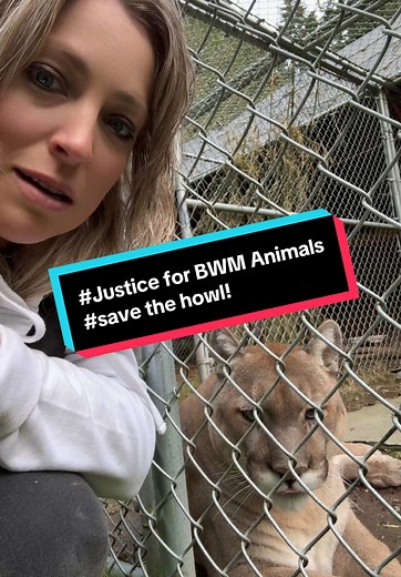 Support Wildlife Conservation: Save Our Sanctuary 🌿🐺