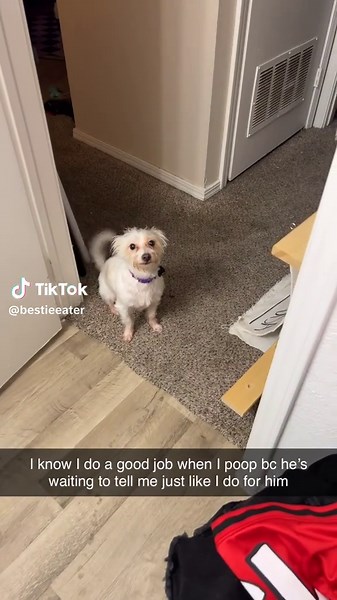 Murphy is the prettiest boy #trend #lastvideoinyourcameraroll #fyp #bbnomoney