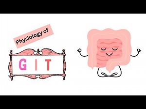 Gastric motility |GIT PHYSIOLOGY