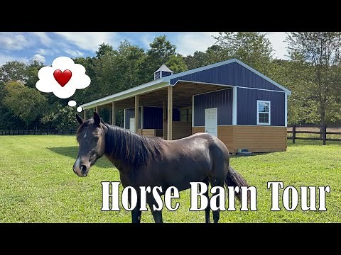 Horse Barn and Run In Shed Hybrid Tour
