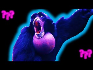 17 Gibbon Screaming sound variation