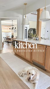 3.5K views · 11 reactions | Just added this stain-resistant, washable...