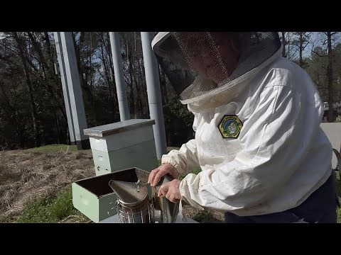 Beekeeping Tips: How to put out the Smoker