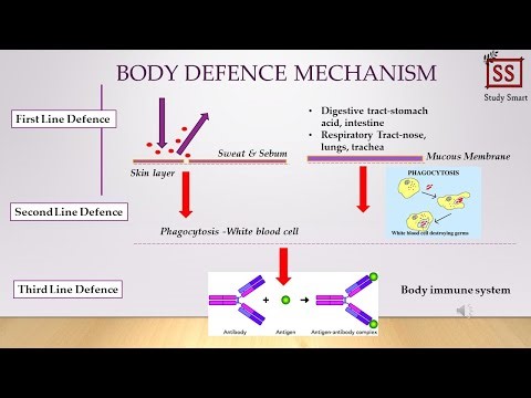 Science Form 2 Chapter 4.2 (Body Defense Mechanism)