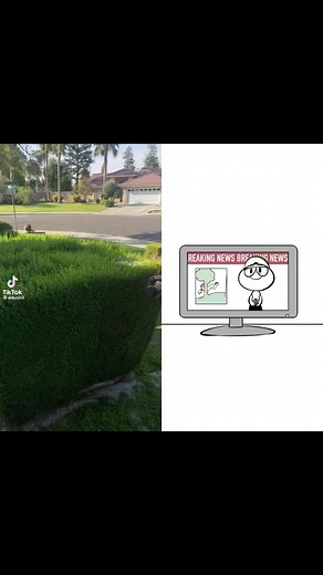 #duet with @Nutshell Animations #Comedy