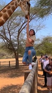 Giraffe vs Girl AI genarate | Arupvines