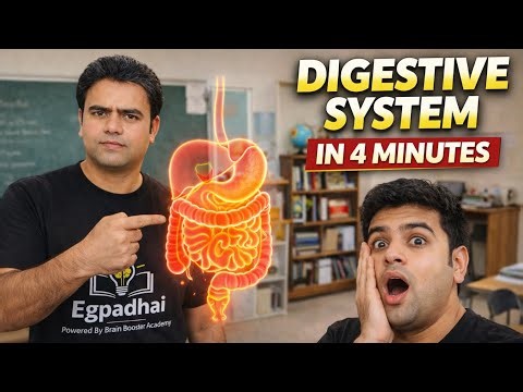 Digestive System Explained in 4 Minutes | Full Human Digestion Process Class 10 Biology