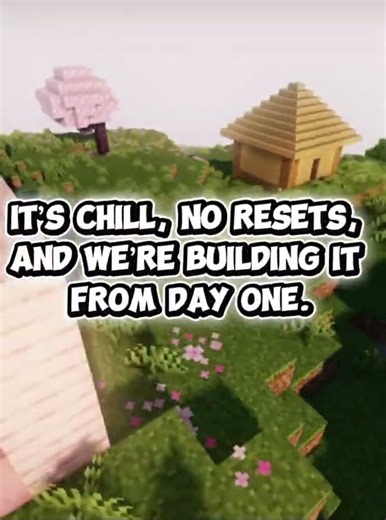 I just started a Minecraft SMP…