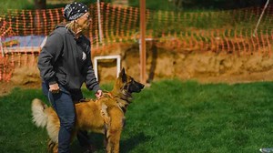 How structured play becomes a powerful training tool