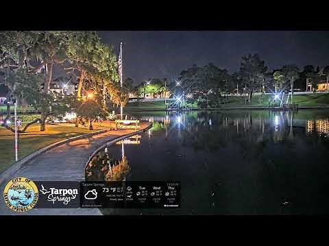 Spring Bayou Live Manatee Webcam