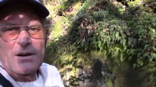 An Ancient Megalithic Wall In New Zealand? The Case For Kaimanawa
