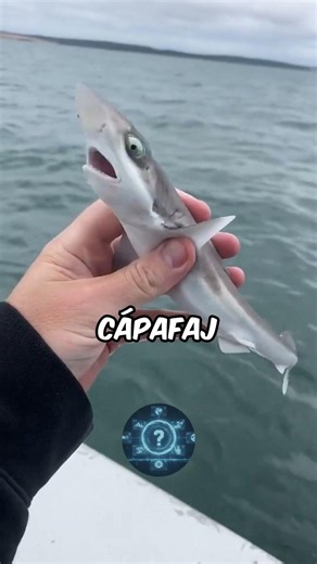 „Ezek az állatok soha nem hagyják abba a növekedést 🤯 #animal #érdekességek #shorts