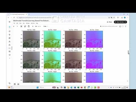Multimodal Transfer Learning Based Fire Detection on FireStage and Flame Dataset