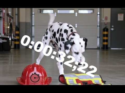 Get Dressed Ultimate Challenge for Kids - Beat the Firefighters Dog (1 min) | Aika⏳Haaste;)