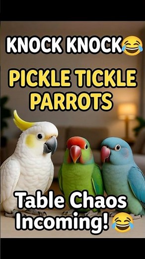 Cockatoo’s “It’s Pickle” Knock Knock 😂 Tickle Time #birds #funny #parrot #viral #subscribe #memes
